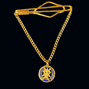 20 year veteran Boy Scouts tie chain